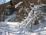 Sentiero 136 - Foppelle-Passo di Grialeggio (8 dic 08) - FOTOGALLERY